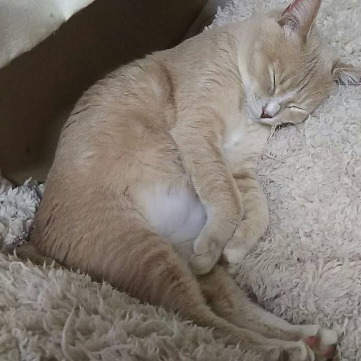 D5404485 62cd 42b4 b3ae f2cfd1313338