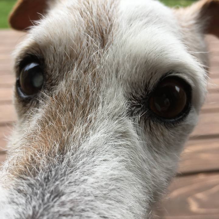 D541505c 3651 4df6 ae75 16f8becb3c2f