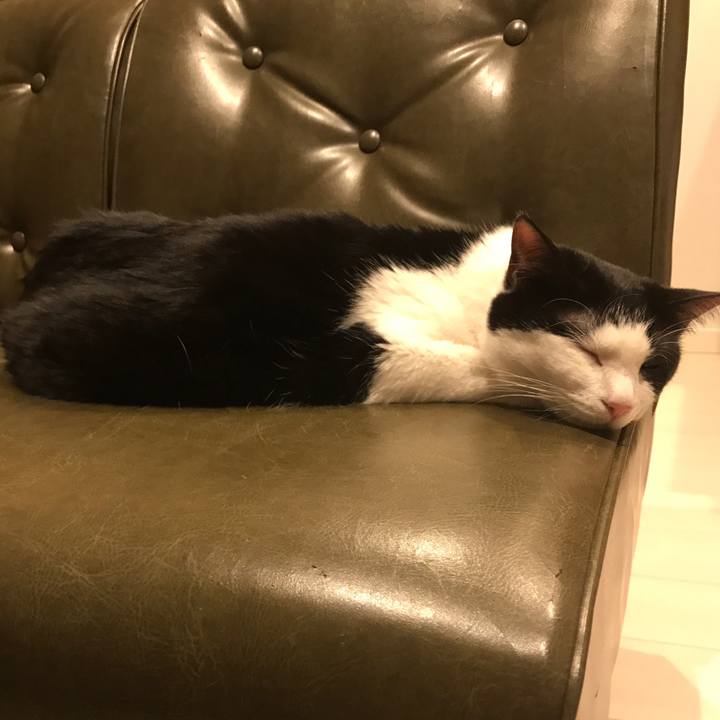 D542e411 51ee 4562 beda e4406c5751dc