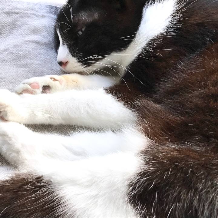 D5430112 b1d4 4fb9 8ccf ba7fe95ce7ff