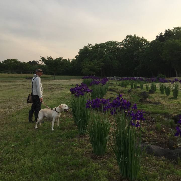 D5437150 a423 4579 8ccf 97f28283d91c