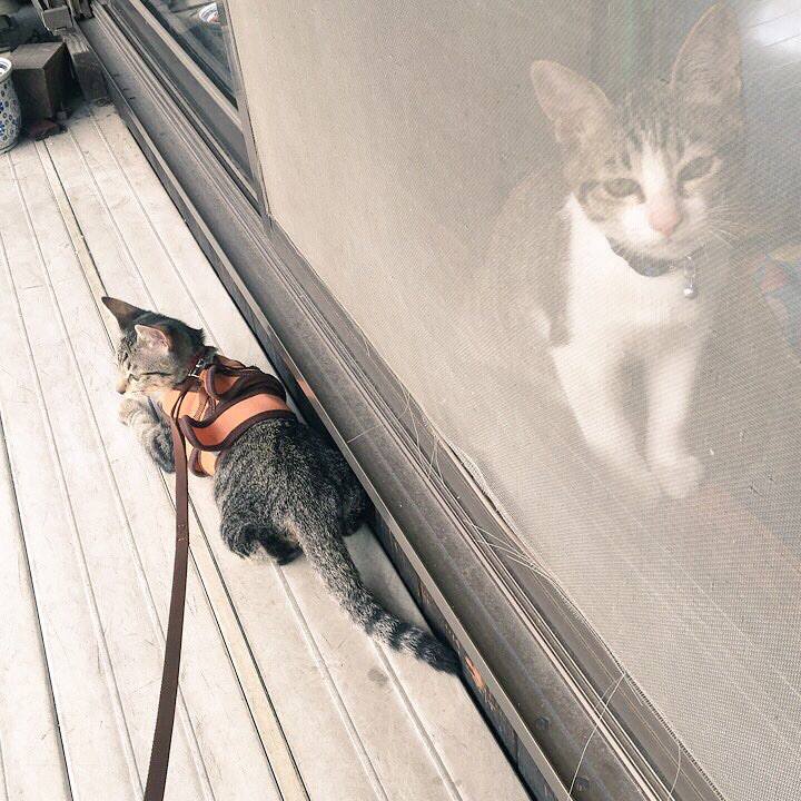 D543904c 863e 47dd 93ea b7c3bff6cc04