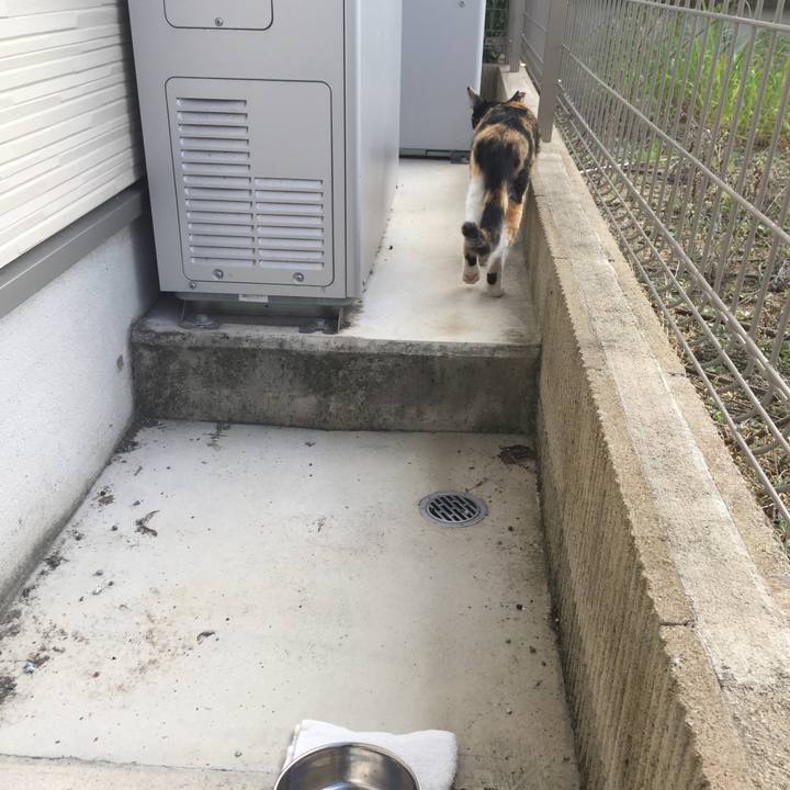 D54392d2 2922 4a7c b005 d4600ba85971