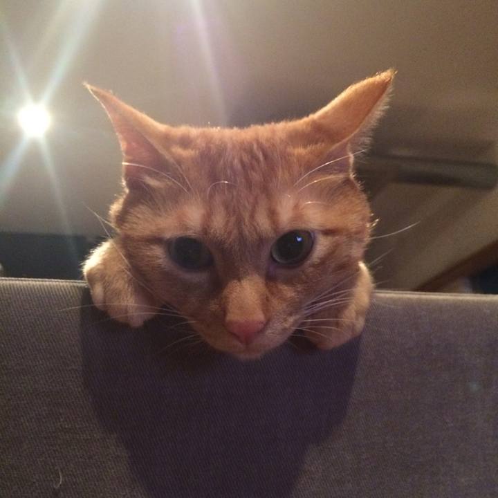 D543e28a 9765 4dbe 9f8d ca8a248cbccd