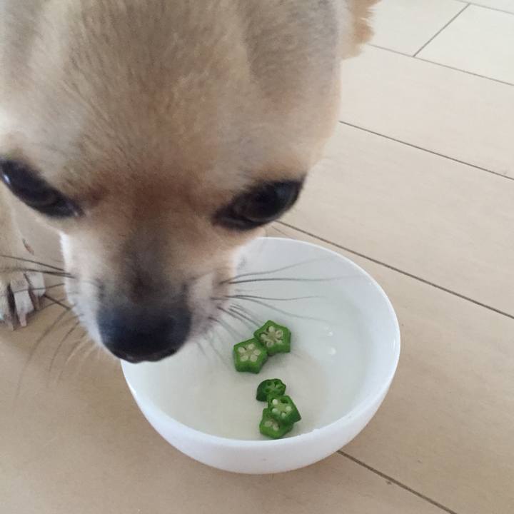 D544ee5e 73ec 4e1c 9677 a4504598f993