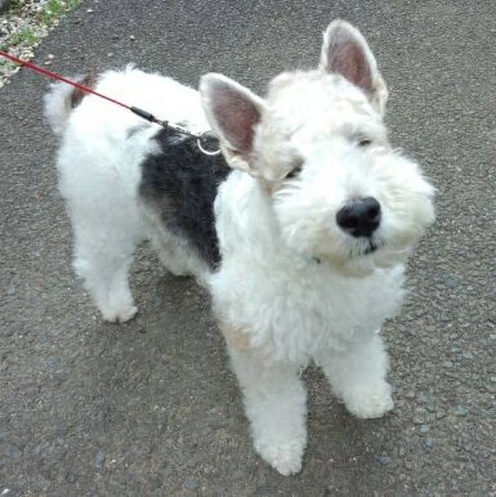 D545a6f1 6329 4c31 a947 3824c071e0ec