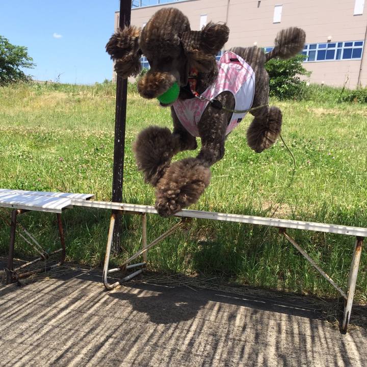 D546210c e840 446a bd3c b7c7dc68b9b0