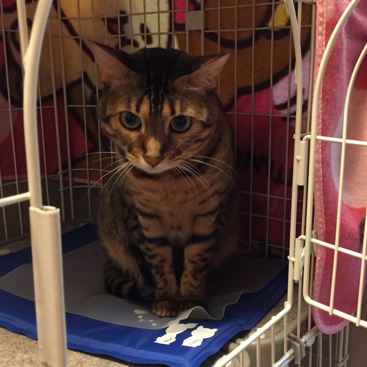 D5463830 1505 4f6c 91ab fe92d3b8e7ed