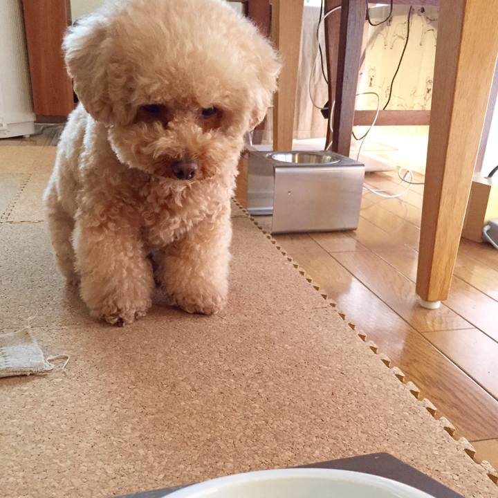 D547fb59 a036 499c 9981 ce6e89699a68