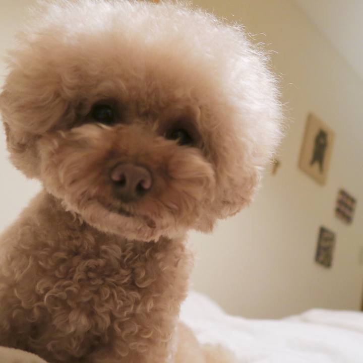 D5484260 ab2f 4529 a68a ff511ab437f8