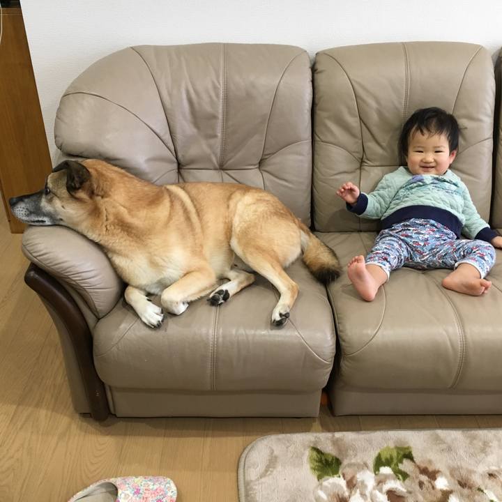 D5497247 4f14 4dbf 856c 2265885c5f5a