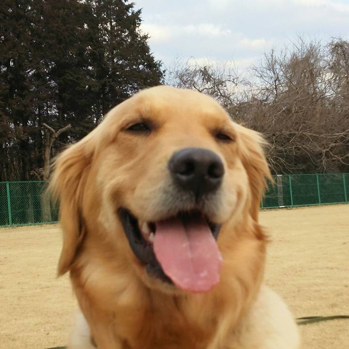 D5499a39 2b0b 49a5 a970 a8254640f7fe