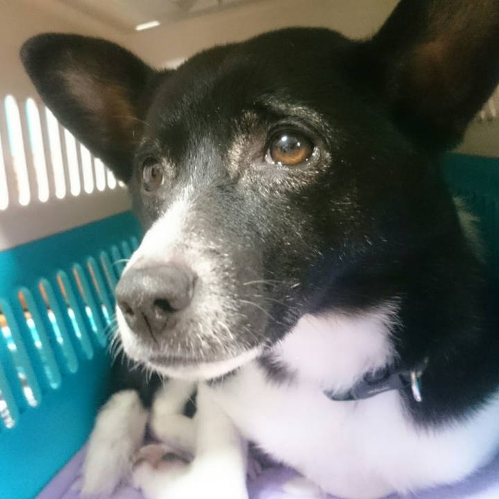 D549a5cd 511b 4985 99f5 0c7d01552f76