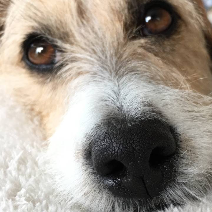 D549c33b 3b06 423c 934e 38f48c906932