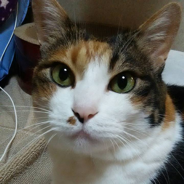 D54a71ee 34df 4369 80ab 77c430bb7ab4