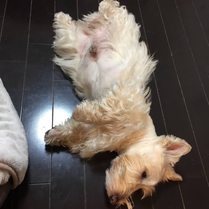 D54a93e8 25ec 42d4 aad8 782c4945bfbb