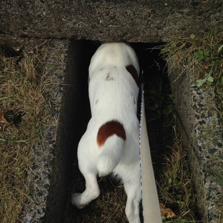 D54aaf55 619e 41d7 aabf 87fa29e03cc9