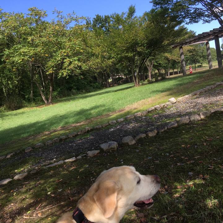 D54b04b3 74bb 4504 bb1a 0a91303f2e95