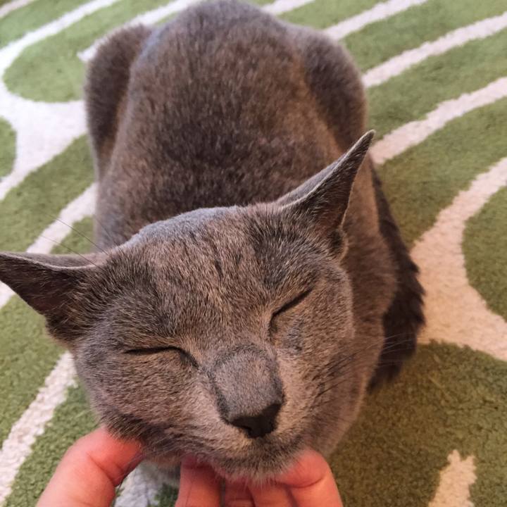 D54bddaf 6757 4651 8e3f 9b250ecabc13