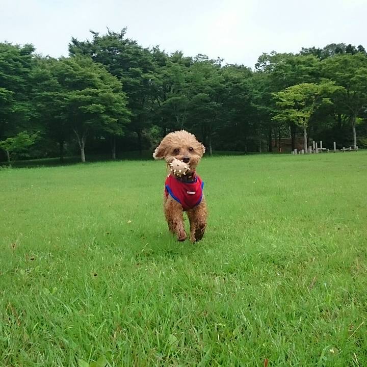 D54c1d2f 7aaf 4008 9544 d2611bb098b2