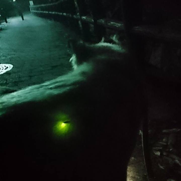 D54c33e6 ae84 4d72 a9a2 94f0747312d2