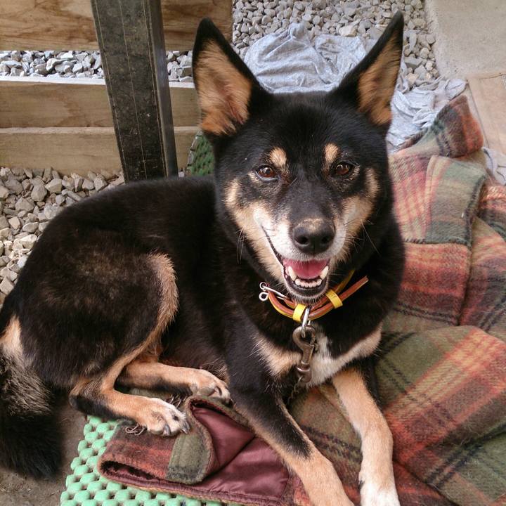 D54c4c08 9c27 400b 9d05 7d3a492e2d1d