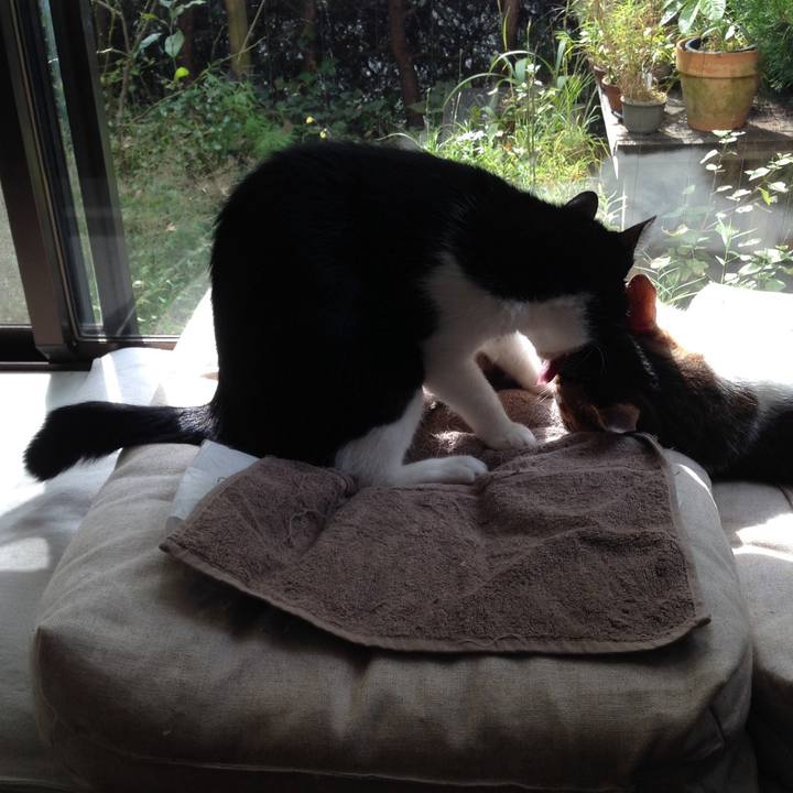 D54cb3f1 22e0 4746 a7c3 86383febba2a