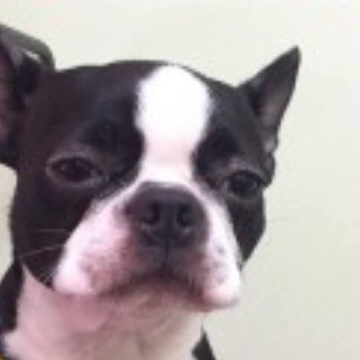 D54cbd38 6883 4c02 b851 14a9467ee0bb