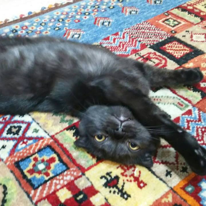 D54cefa7 cdaa 4b97 aca4 b5b4c1de0961