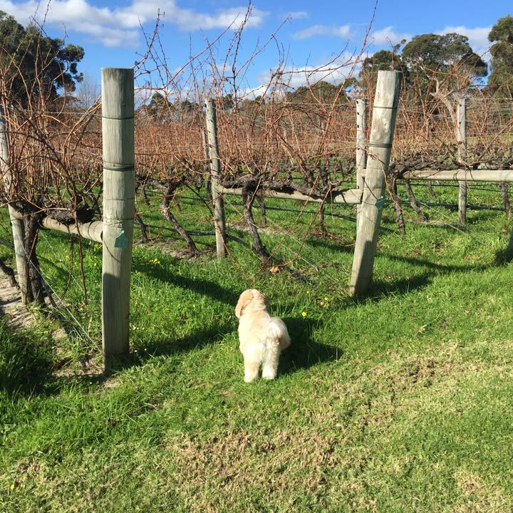 D54dcb6b 59d4 42e9 9a6e edf076285c71