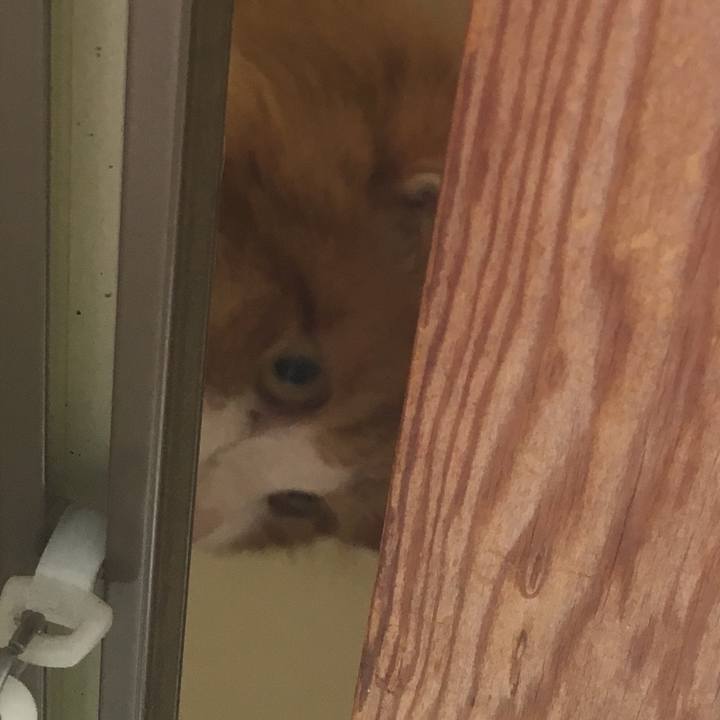 D54ddb46 7f2f 481b a8ec 7ba55e9a3010