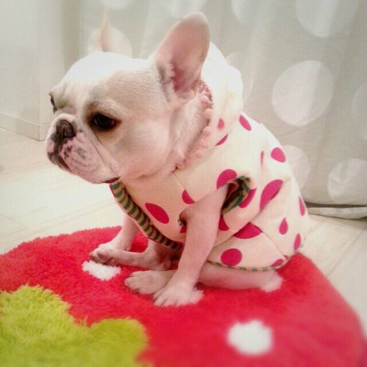 D54e20de 3272 4ab4 83aa 5a0e5efca8a7