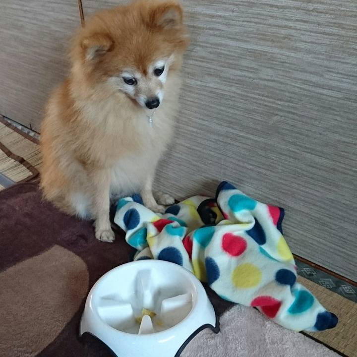 D54f10e0 e070 4905 8b0c 7503c3ecd2d6