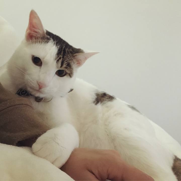 D54f113e 19d7 4396 b728 1cab160e4609