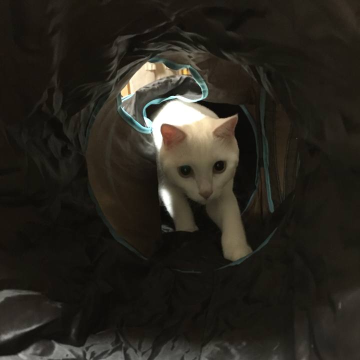 D54f1d41 a074 4135 9458 985d2bc8aaee