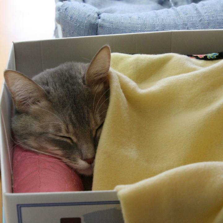 D54fb8d9 f491 427d 9dd3 cc65277189db