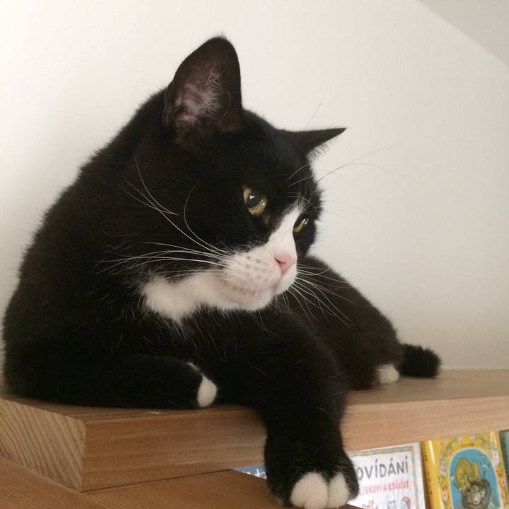 D551067c 2f6b 440d a750 4fbc081e3660