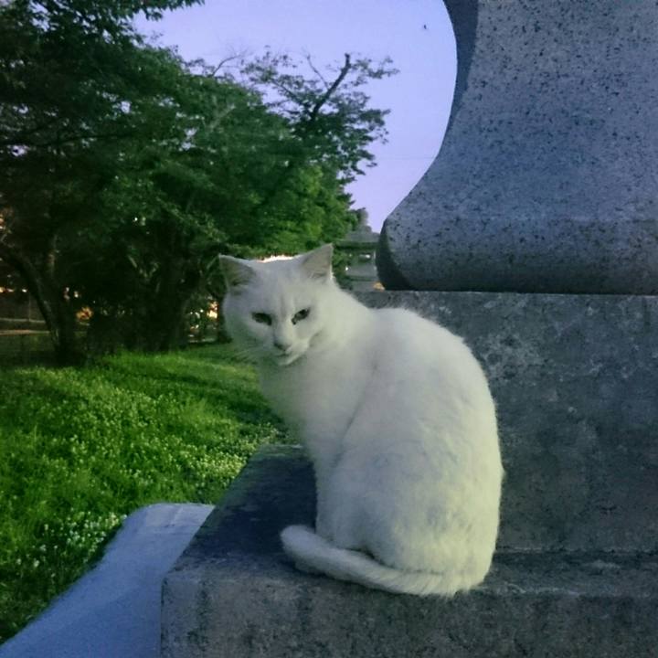 D5511600 9940 4726 81a9 e27b428927dc