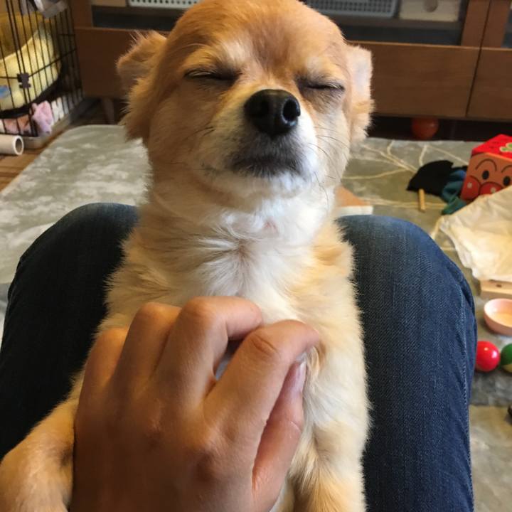 D551528a feaa 4020 aeaf 9cc5874f939b