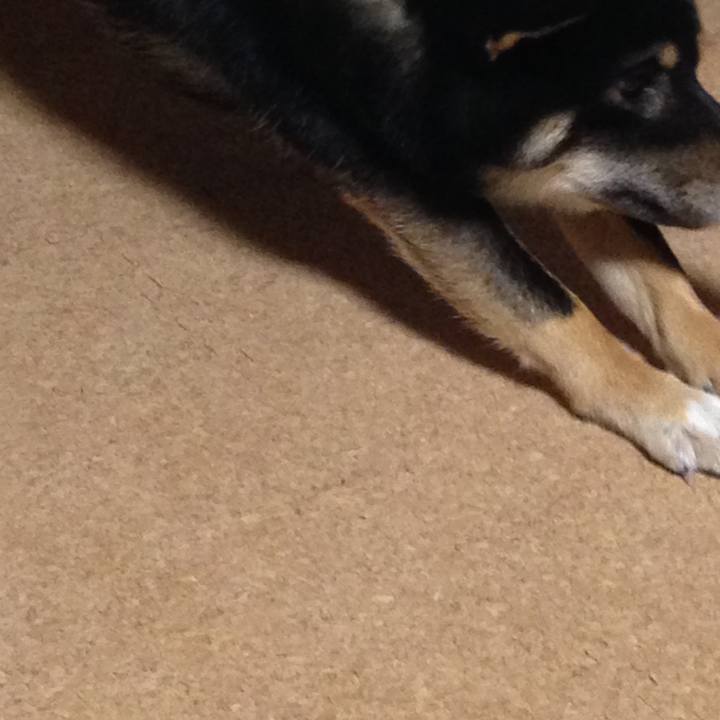 D5516f24 b62e 4171 9976 97ec6b08c719