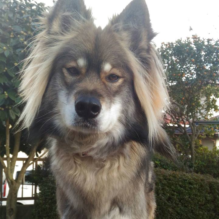 D551dbed 2cde 4eb8 931d bb353a0a3937