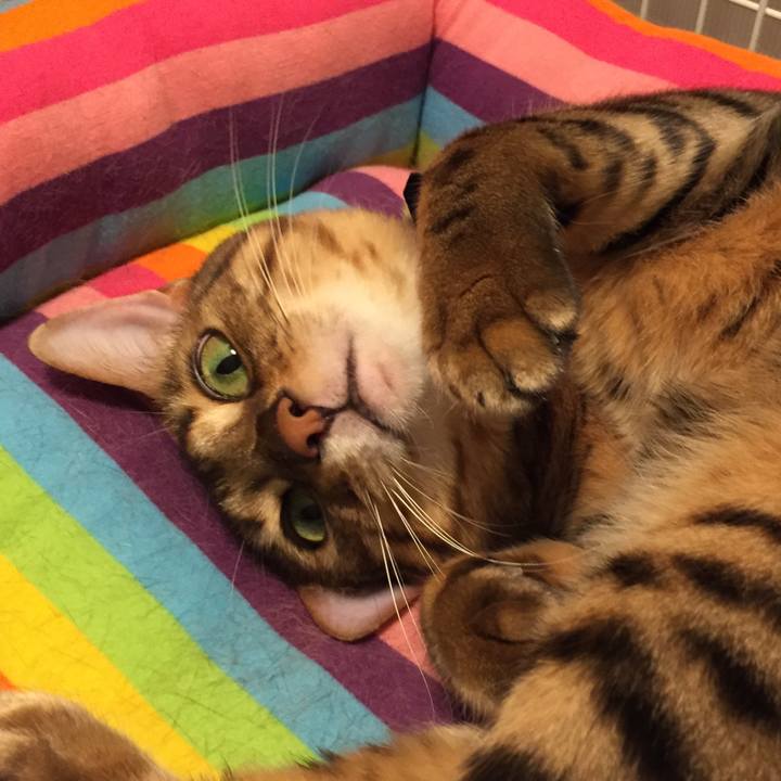 D55209d8 3ba5 45eb b56c 9719f3ae2e82