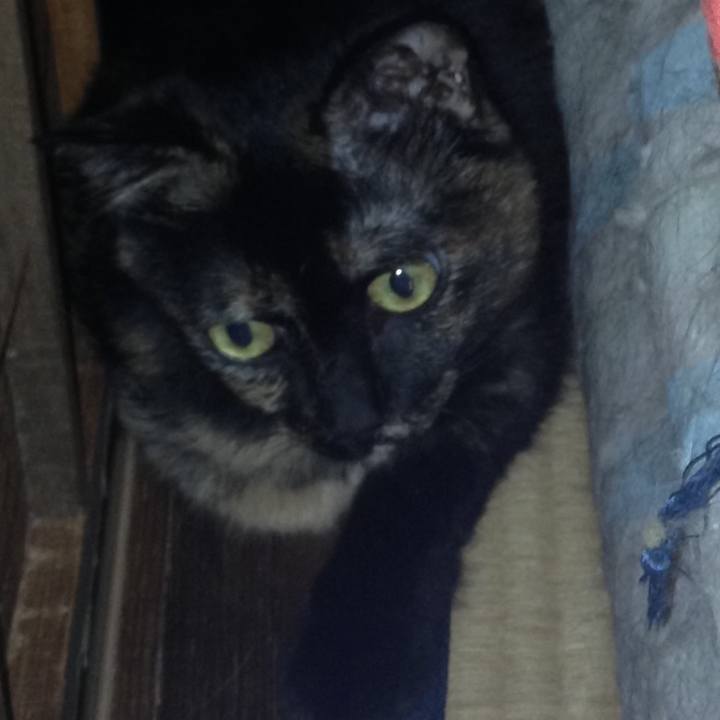 D5527a22 2235 473f a9a3 74076a4edc25