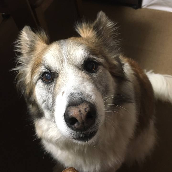 D5529ff8 74d7 4e1a ae6a 8575ddc2c372