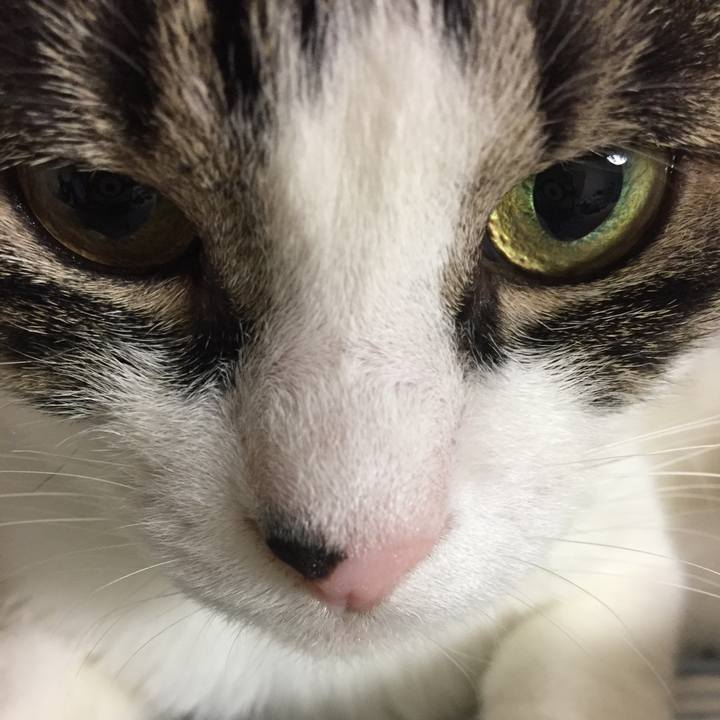 D5537387 a4c0 4ac1 9691 ff466cc3489d