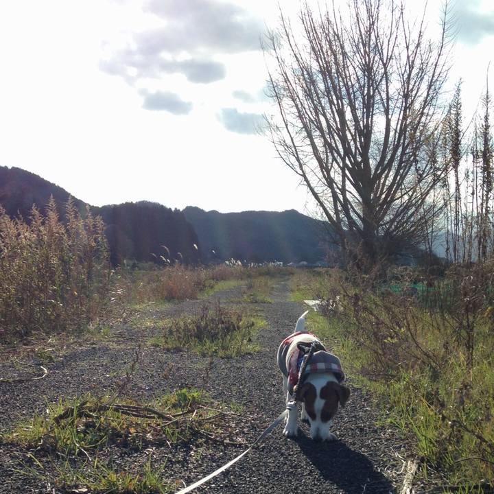 D553ceb5 db3c 4dee bd83 839af4ebf474