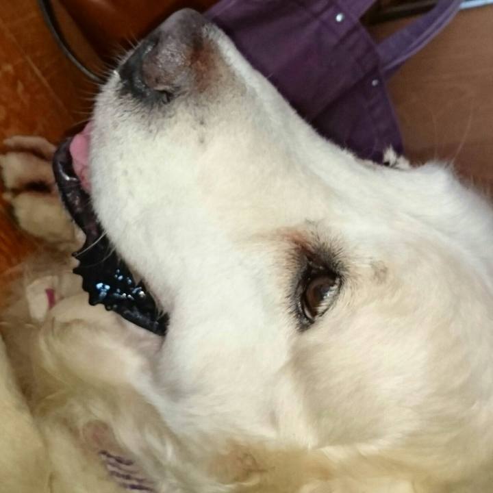 D553f4b8 71fb 4ae4 b1c8 7f505a55be0e