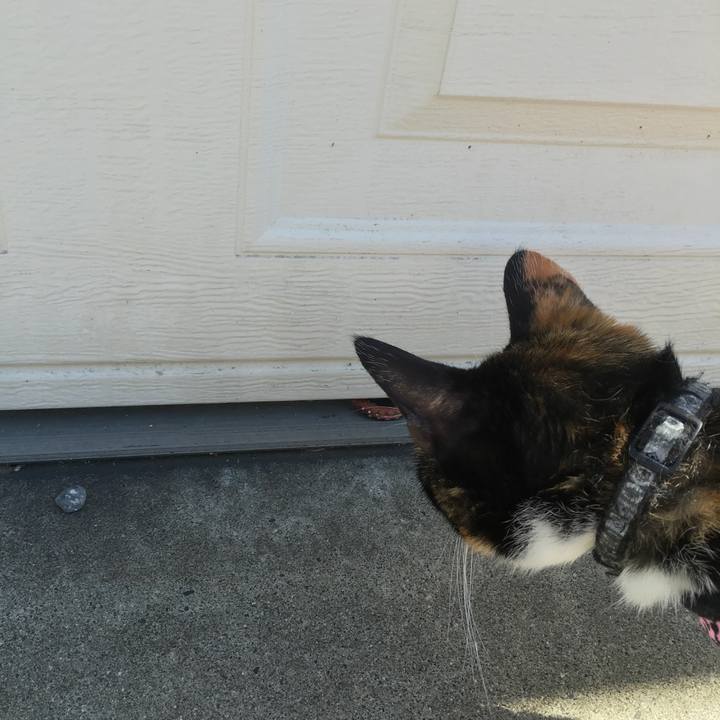 D5543157 1fd4 46ff 9b1e 2dc608114a1f