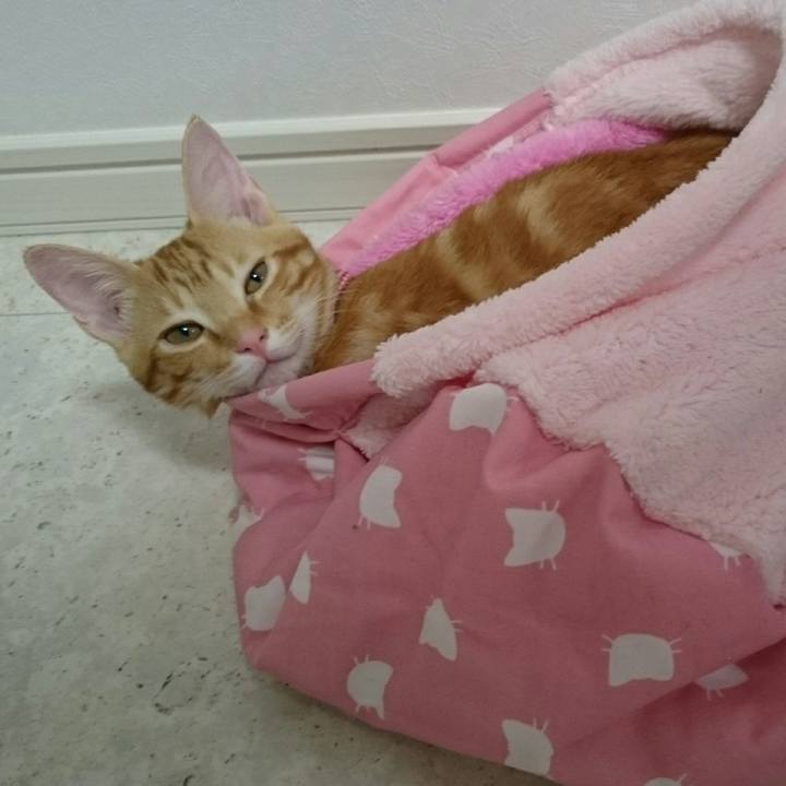 D5543415 209b 4716 ae79 3b032fa58edc