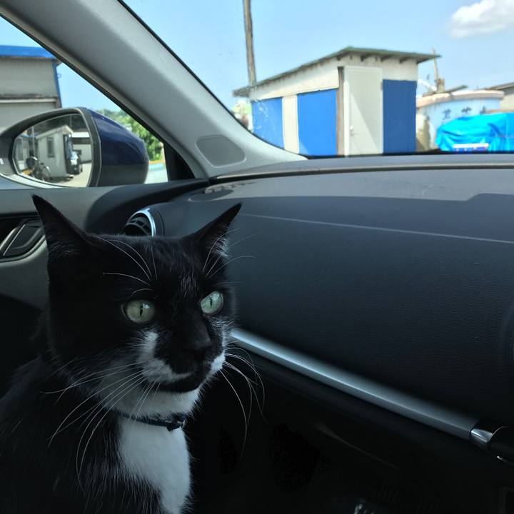 D555d488 c0e2 4374 90f1 ea451c2af862